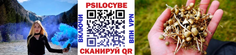 Галлюциногенные грибы мицелий  купить наркоту  Дзержинск 